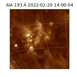 saia - 2022-02-20T14:00:04.846000