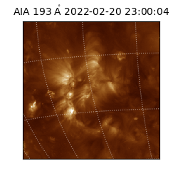 saia - 2022-02-20T23:00:04.843000
