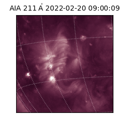 saia - 2022-02-20T09:00:09.626000