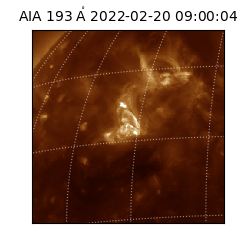 saia - 2022-02-20T09:00:04.843000