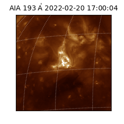saia - 2022-02-20T17:00:04.846000
