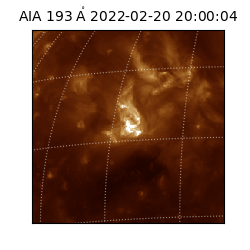 saia - 2022-02-20T20:00:04.847000