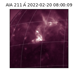 saia - 2022-02-20T08:00:09.626000