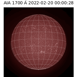 saia - 2022-02-20T00:00:00