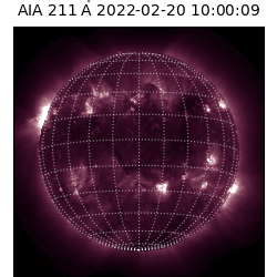 saia - 2022-02-20T10:00:00
