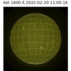 saia - 2022-02-20T11:00:00