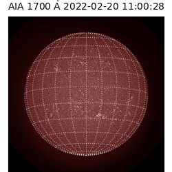 saia - 2022-02-20T11:00:00