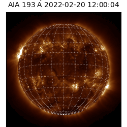 saia - 2022-02-20T12:00:00