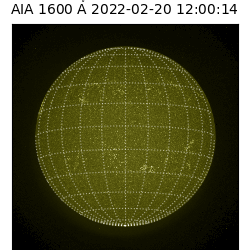 saia - 2022-02-20T12:00:00