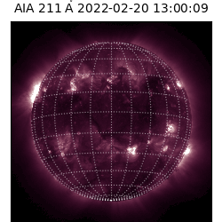 saia - 2022-02-20T13:00:00