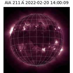 saia - 2022-02-20T14:00:00