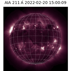 saia - 2022-02-20T15:00:00
