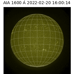saia - 2022-02-20T16:00:00