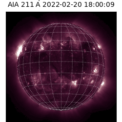 saia - 2022-02-20T18:00:00