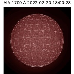 saia - 2022-02-20T18:00:00