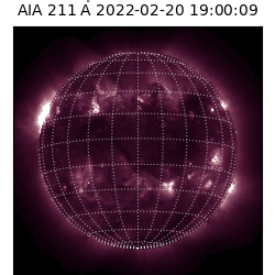 saia - 2022-02-20T19:00:00