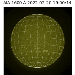 saia - 2022-02-20T19:00:00