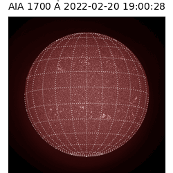 saia - 2022-02-20T19:00:00