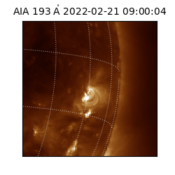 saia - 2022-02-21T09:00:04.843000