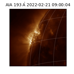 saia - 2022-02-21T09:00:04.843000
