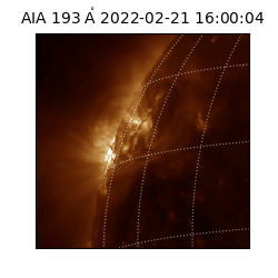 saia - 2022-02-21T16:00:04.843000