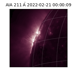 saia - 2022-02-21T00:00:09.626000