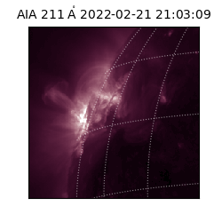 saia - 2022-02-21T21:03:09.630000