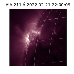 saia - 2022-02-21T22:00:09.626000