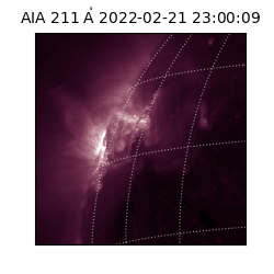 saia - 2022-02-21T23:00:09.630000