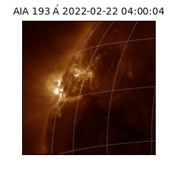 saia - 2022-02-22T04:00:04.843000