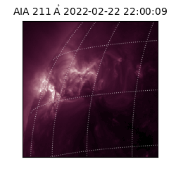 saia - 2022-02-22T22:00:09.626000