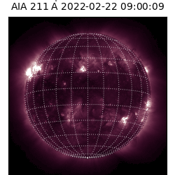 saia - 2022-02-22T09:00:00
