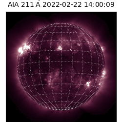 saia - 2022-02-22T14:00:00