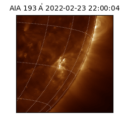 saia - 2022-02-23T22:00:04.843000