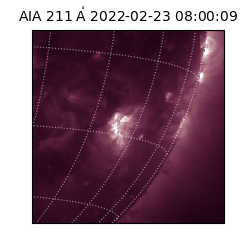saia - 2022-02-23T08:00:09.626000