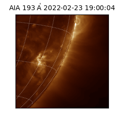 saia - 2022-02-23T19:00:04.843000