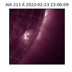 saia - 2022-02-23T23:00:09.626000