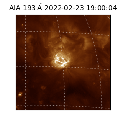 saia - 2022-02-23T19:00:04.843000