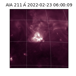 saia - 2022-02-23T06:00:09.634000