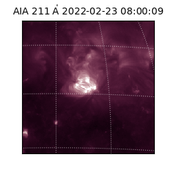 saia - 2022-02-23T08:00:09.626000