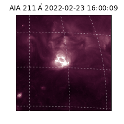 saia - 2022-02-23T16:00:09.618000