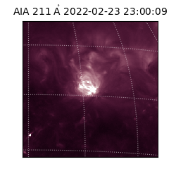 saia - 2022-02-23T23:00:09.626000
