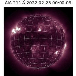saia - 2022-02-23T00:00:00