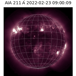saia - 2022-02-23T09:00:00