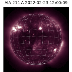 saia - 2022-02-23T12:00:00