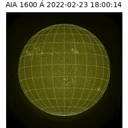 saia - 2022-02-23T18:00:00