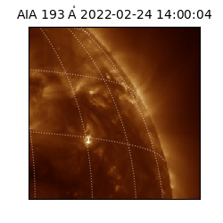 saia - 2022-02-24T14:00:04.843000