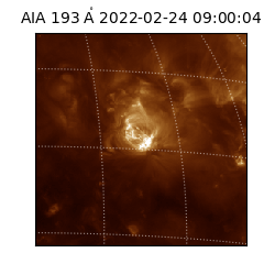 saia - 2022-02-24T09:00:04.843000