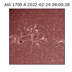 saia - 2022-02-24T08:00:28.745000