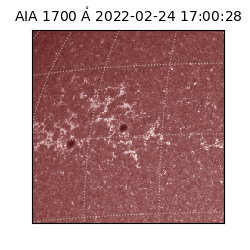 saia - 2022-02-24T17:00:28.754000